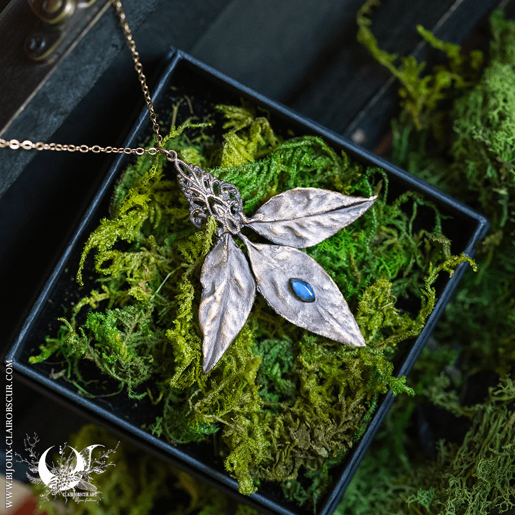 HERBARIUM : LES ÉTERNELLES